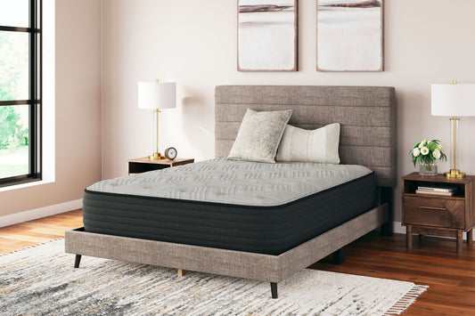 Palisades Plush - Mattress - Hornell Furniture Outlet
