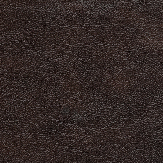 Ceretti - Power Reclining Sofa - Brown Italian Top Grain Leather Match - Hornell Furniture Outlet