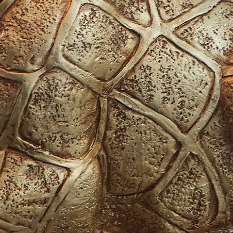 Ferrison - Gold Finish - Poly Table Lamp - Hornell Furniture Outlet