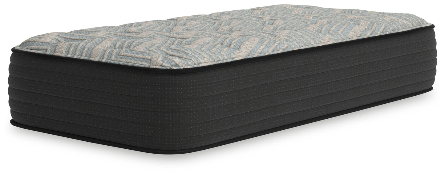 Palisades Firm - Mattress - Hornell Furniture Outlet