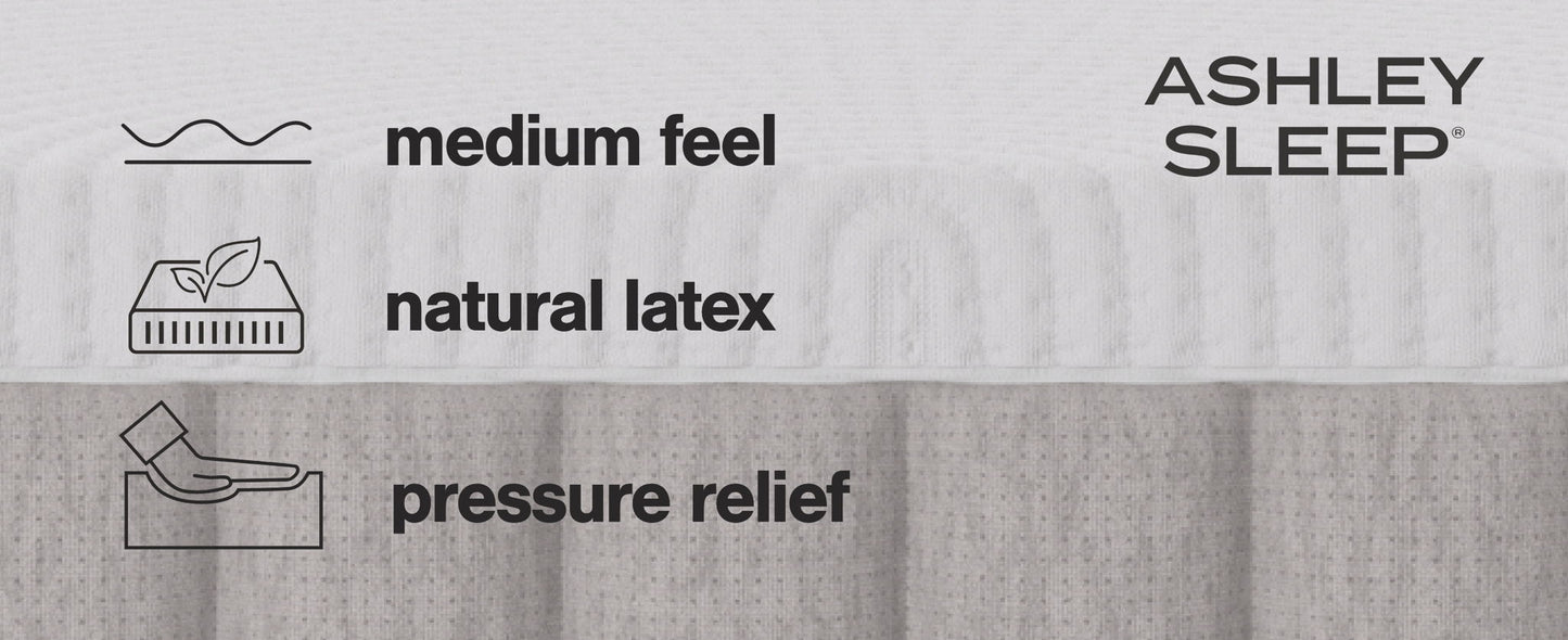 Terra Sleep Medium - Mattress - Hornell Furniture Outlet