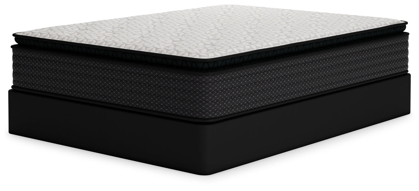 Limited Edition Pt - Mattress - Hornell Furniture Outlet