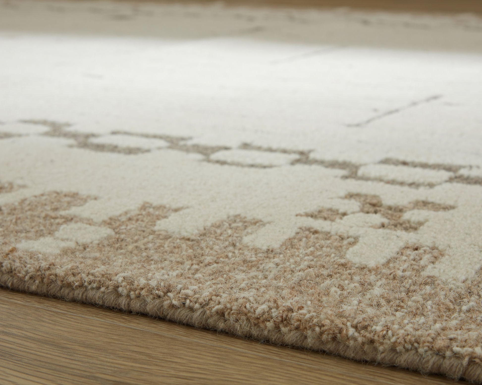 Dot - Rug - Hornell Furniture Outlet