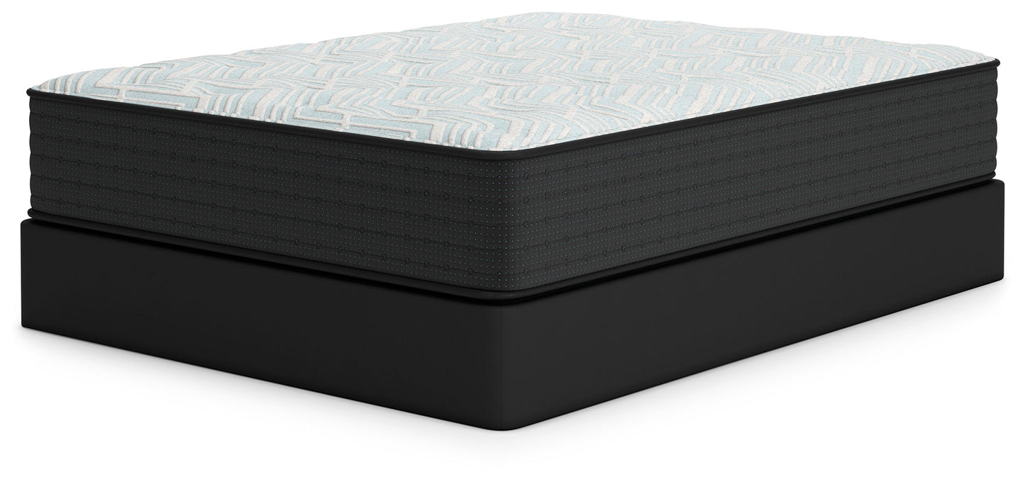 Palisades Plush - Mattress - Hornell Furniture Outlet