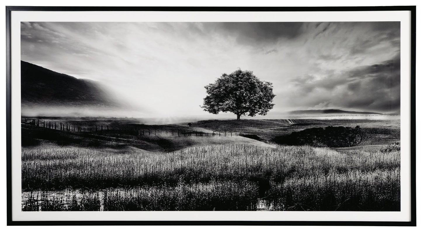 Deborland - Black / White - Wall Art - Hornell Furniture Outlet