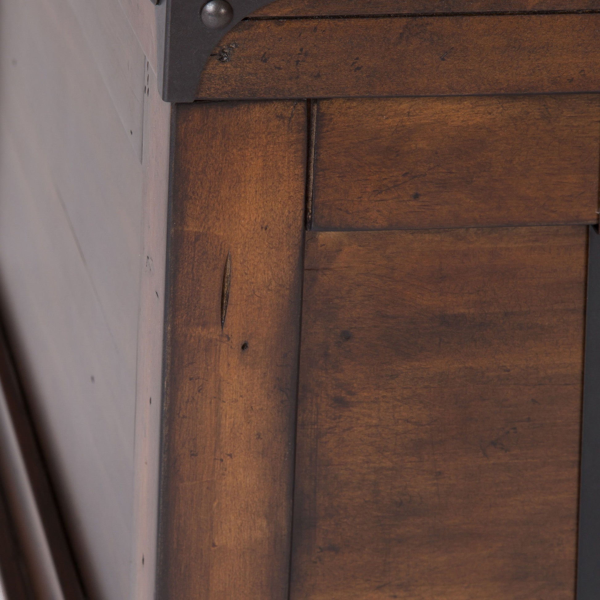 Aspen Skies - Storage Trunk - Hornell Furniture Outlet