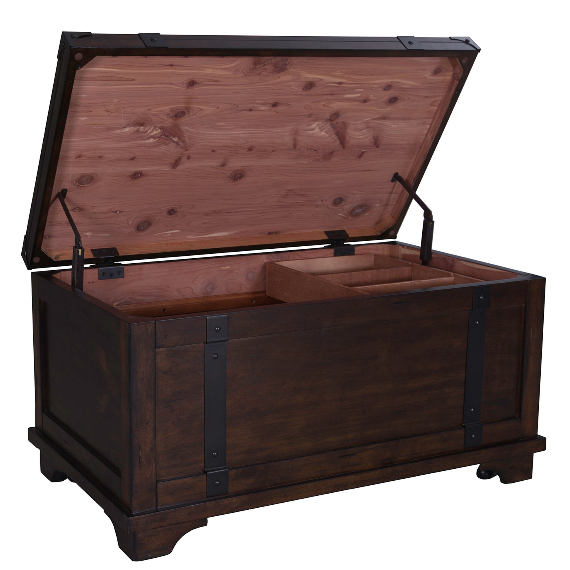 Aspen Skies - Storage Trunk - Hornell Furniture Outlet