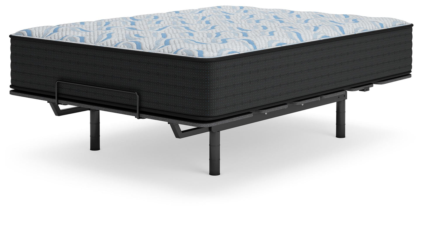Elite Springs Firm - Mattress - Hornell Furniture Outlet