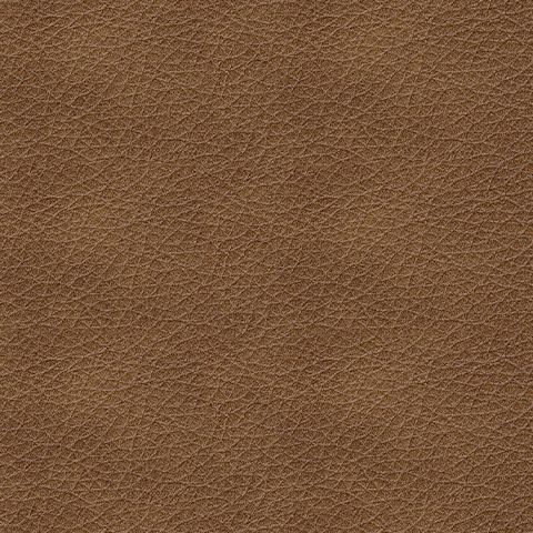 Bolsena - Loveseat - Hornell Furniture Outlet