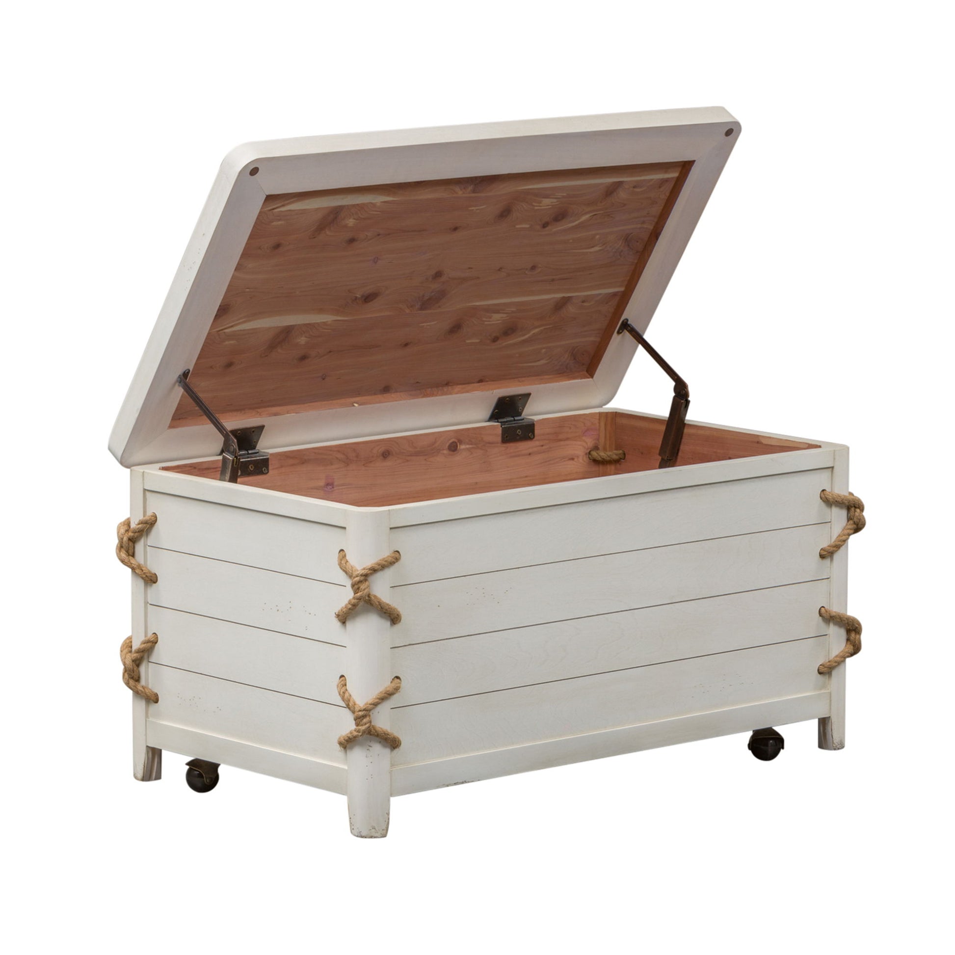 Dockside - Storage Trunk - White - Hornell Furniture Outlet