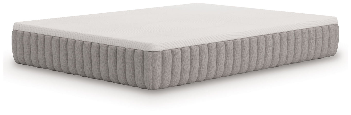 Terra Sleep Medium - Mattress - Hornell Furniture Outlet