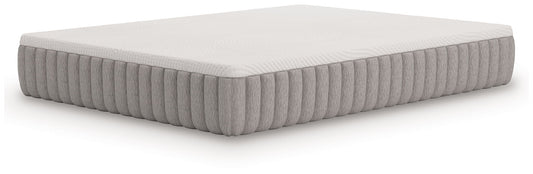 Terra Sleep Medium - Mattress - Hornell Furniture Outlet