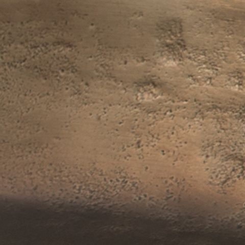 Wallmen - Champagne Gold Finish - Tray - Hornell Furniture Outlet