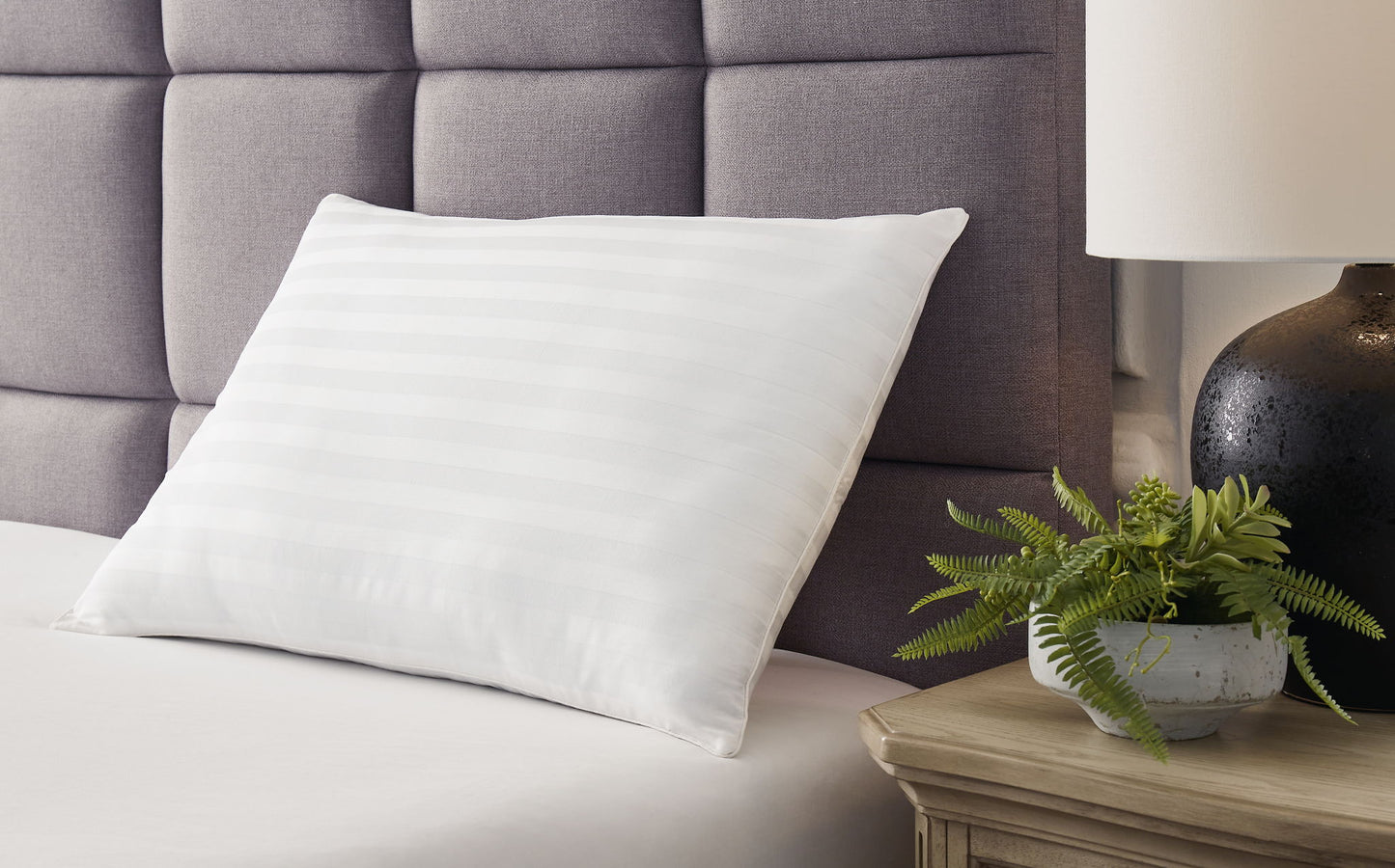 Zephyr 2.0 - Cotton Pillow - Hornell Furniture Outlet