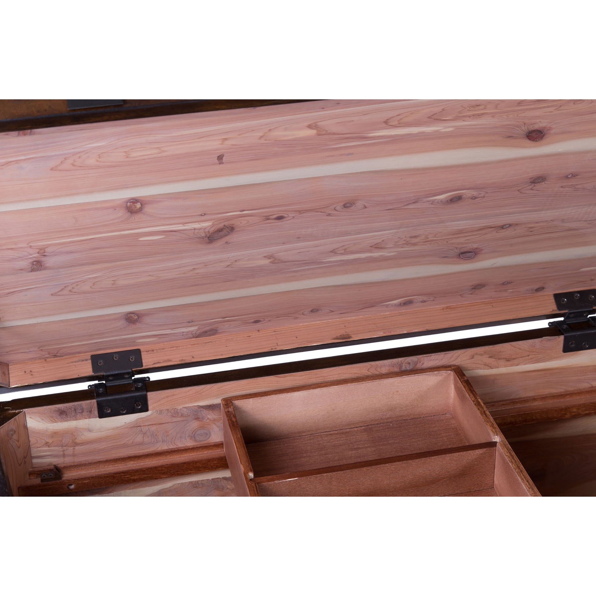 Aspen Skies - Storage Trunk - Hornell Furniture Outlet