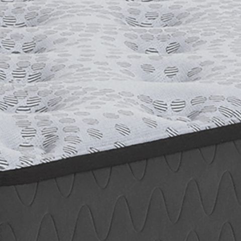 Comfort Plus - Mattress - Hornell Furniture Outlet