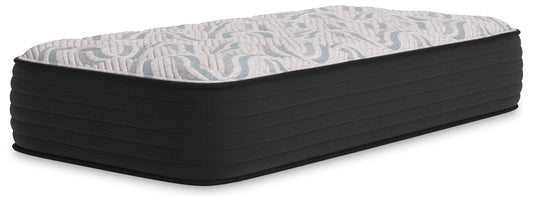 Elite Springs Plush - Mattress - Hornell Furniture Outlet