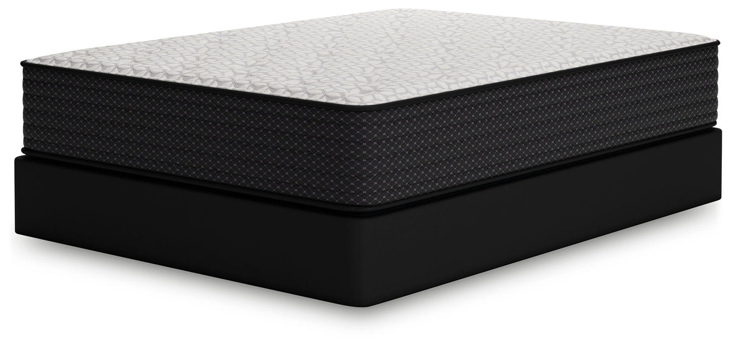 Limited Edition Plush - Mattress - Hornell Furniture Outlet