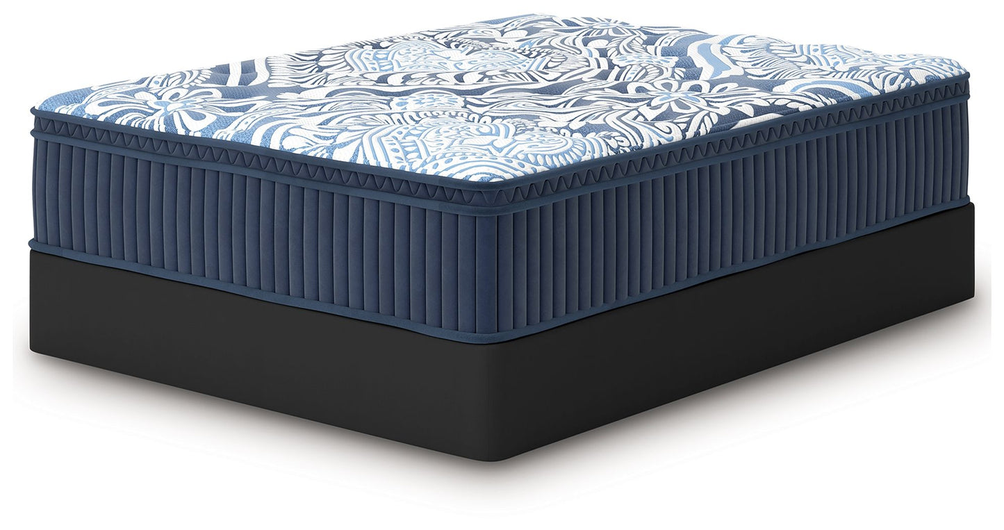 Plush Luxe 2.0 - Mattress - Hornell Furniture Outlet
