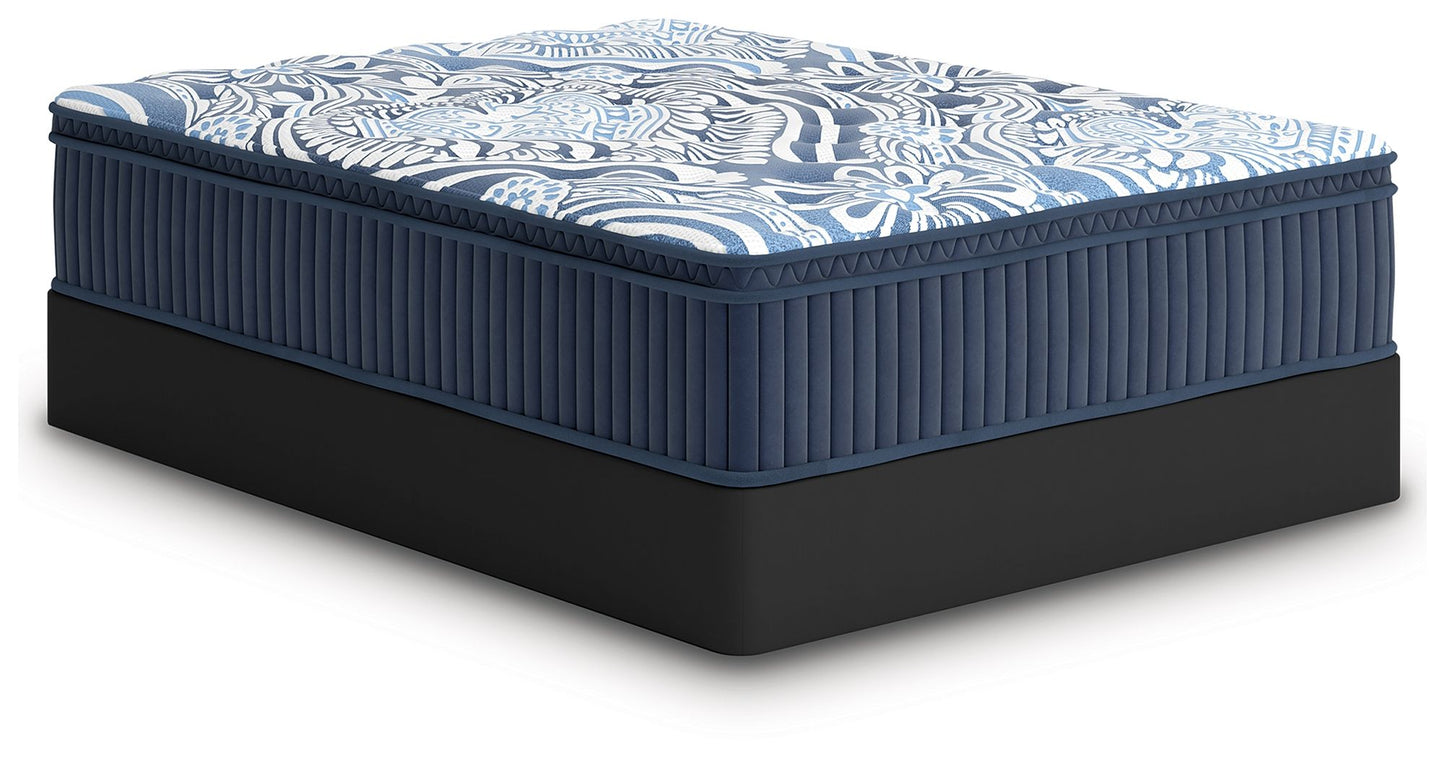 Plush Luxe 2.0 - Mattress - Hornell Furniture Outlet
