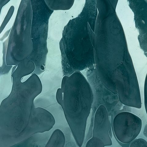 Cartshaw - Vase - Hornell Furniture Outlet