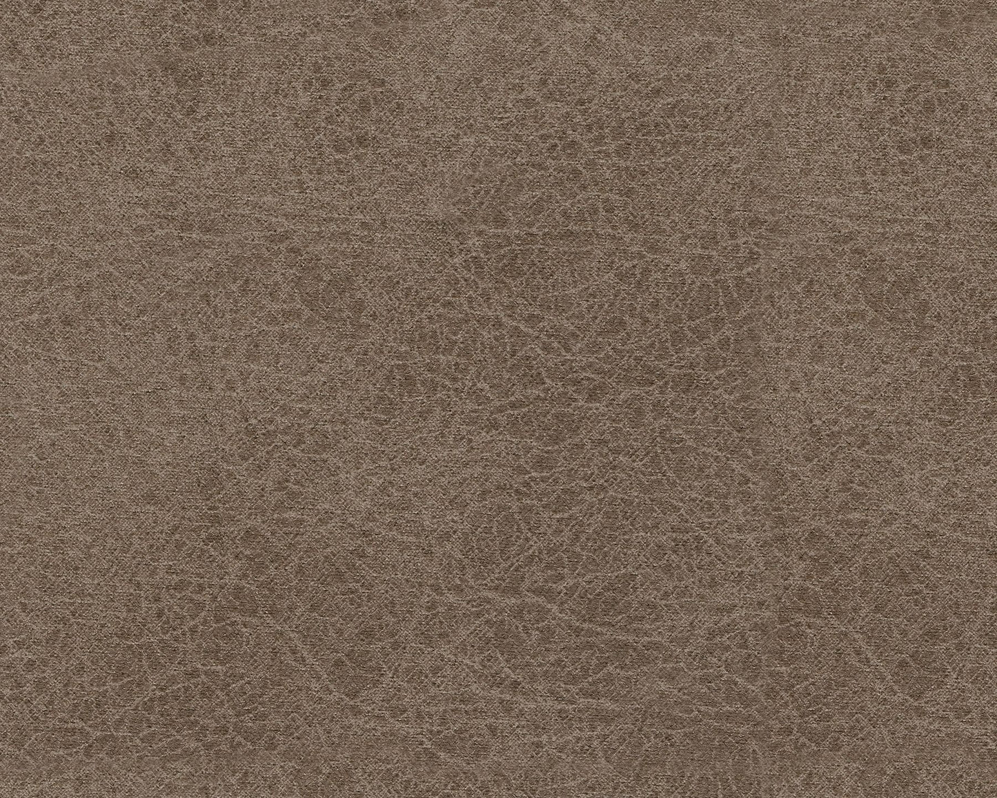 Navi - Fossil - Sofa - Hornell Furniture Outlet