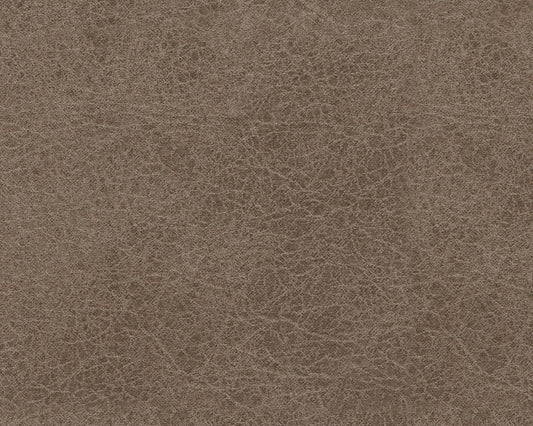 Navi - Fossil - Sofa - Hornell Furniture Outlet
