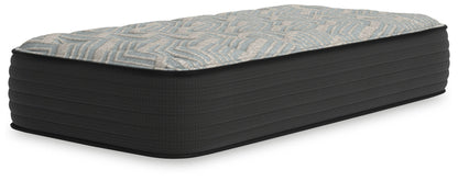 Palisades Firm - Mattress - Hornell Furniture Outlet