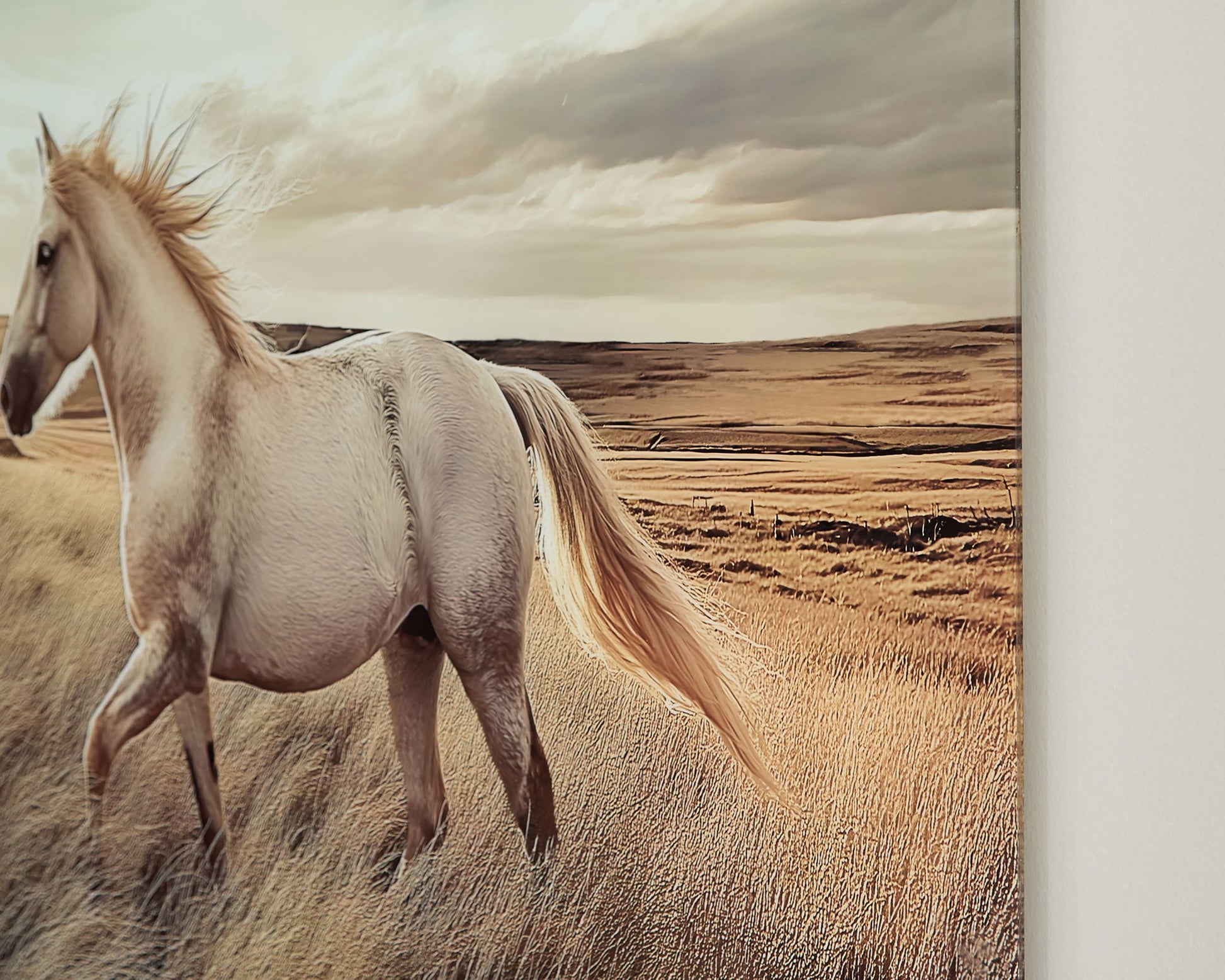 Errolville - Wall Art - Multi - Hornell Furniture Outlet