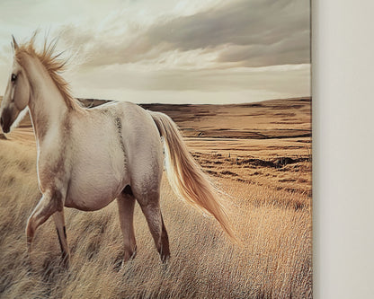 Errolville - Wall Art - Multi - Hornell Furniture Outlet