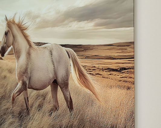 Errolville - Wall Art - Multi - Hornell Furniture Outlet