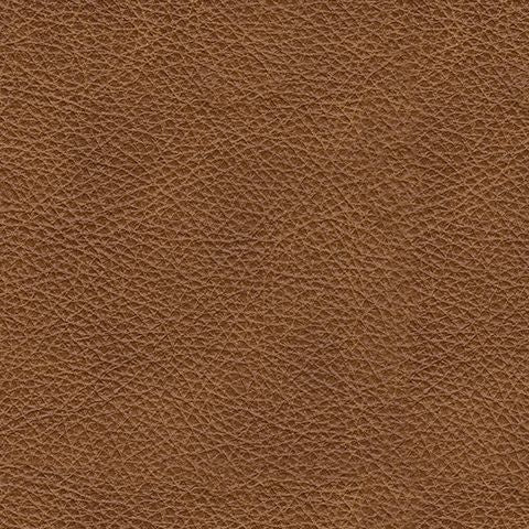 Carianna - Caramel - Loveseat - Hornell Furniture Outlet