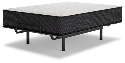 Limited Edition Firm - Mattress - Hornell Furniture Outlet