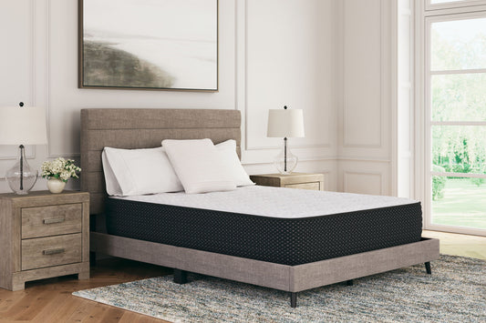 Limited Edition Plush - Mattress - Hornell Furniture Outlet