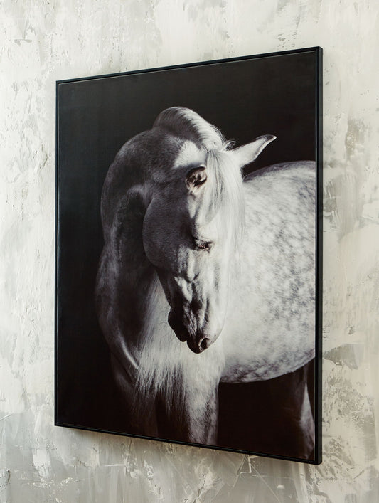 Archerwick - Black / White - Wall Art - Hornell Furniture Outlet