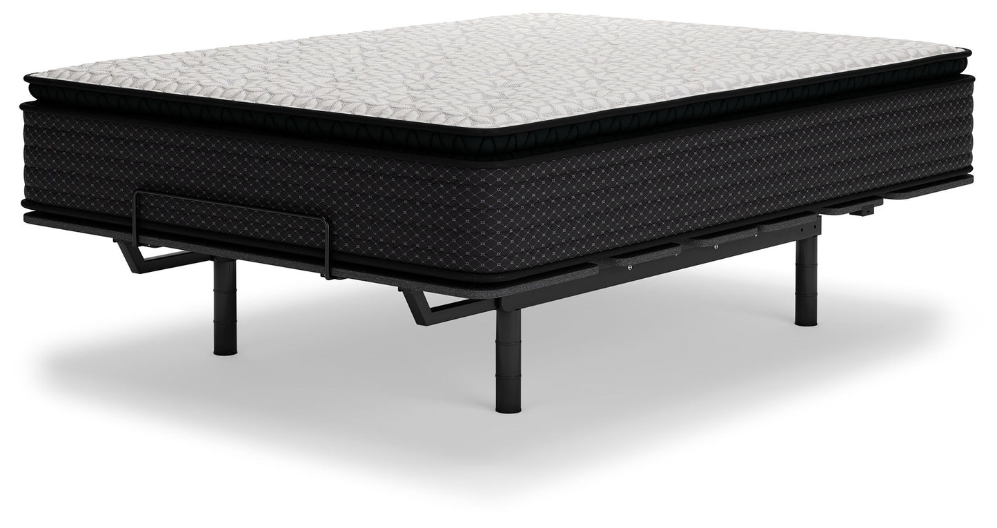 Limited Edition Pt - Mattress - Hornell Furniture Outlet