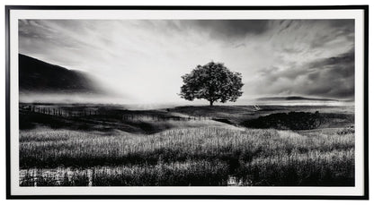 Deborland - Black / White - Wall Art - Hornell Furniture Outlet