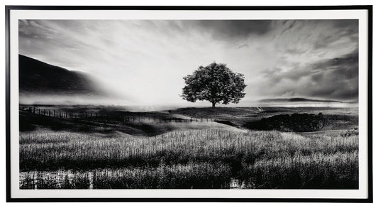 Deborland - Black / White - Wall Art - Hornell Furniture Outlet