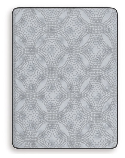 Comfort Plus - Mattress - Hornell Furniture Outlet