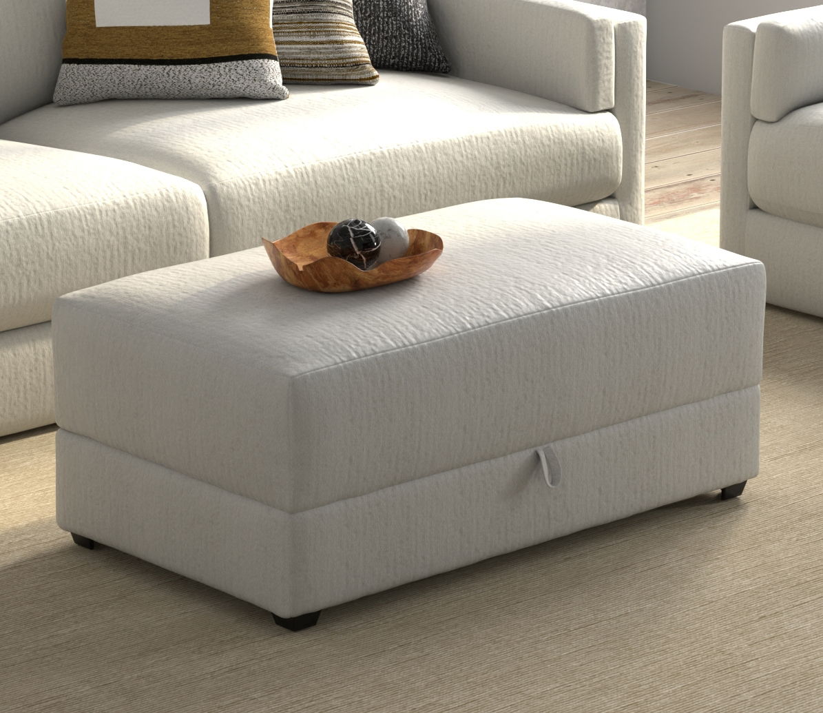 Trevor - Storage Ottoman - Hornell Furniture Outlet