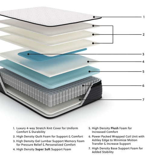 Limited Edition Pt - Mattress - Hornell Furniture Outlet