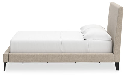 Cielden - Upholstered Bed With Roll Slats - Hornell Furniture Outlet