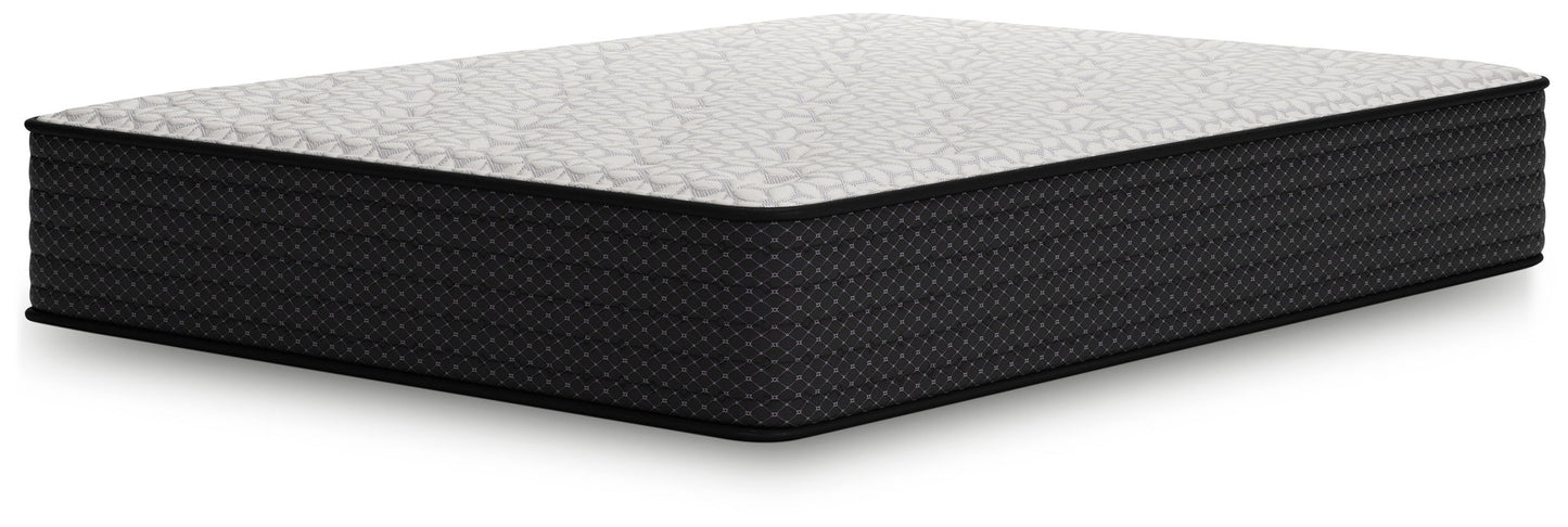 Limited Edition Plush - Mattress - Hornell Furniture Outlet