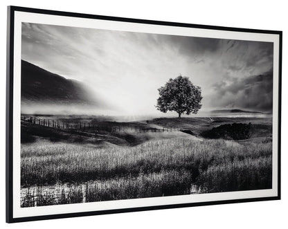 Deborland - Black / White - Wall Art - Hornell Furniture Outlet