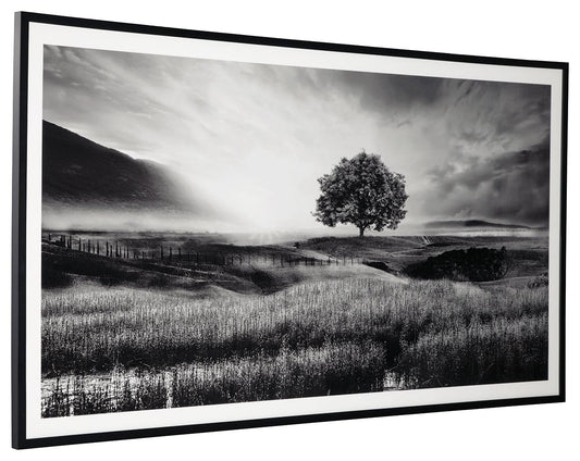 Deborland - Black / White - Wall Art - Hornell Furniture Outlet