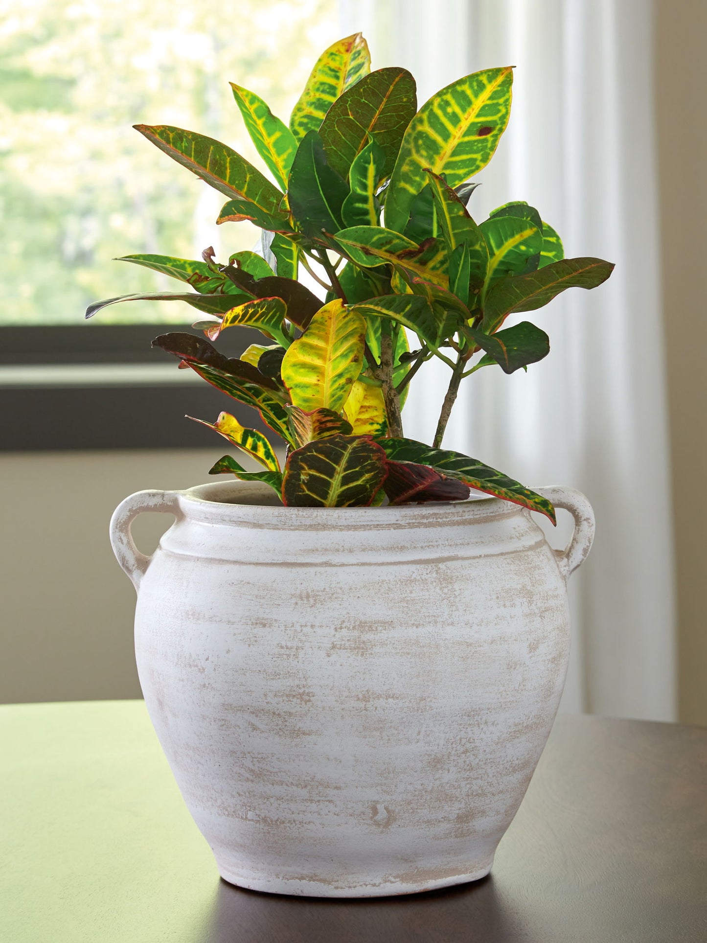 Meadie - 9" Vase - Hornell Furniture Outlet