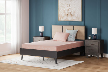 Ikidz Coral - Mattress And Pillow Set of 2 - Hornell Furniture Outlet