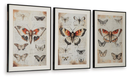 Jossletts - Orange / Black / Ivory - Wall Art Set (Set of 3) - Hornell Furniture Outlet