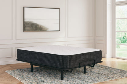 Limited Edition Plush - Mattress - Hornell Furniture Outlet