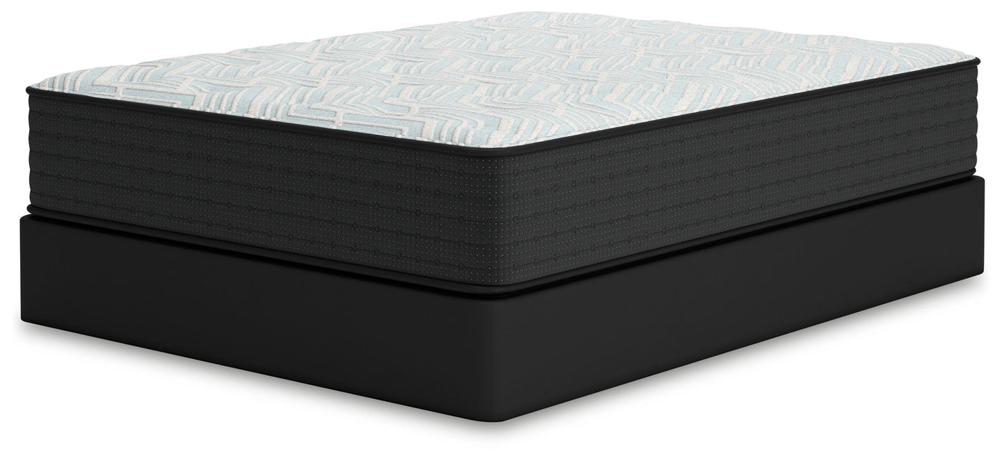 Palisades Firm - Mattress - Hornell Furniture Outlet